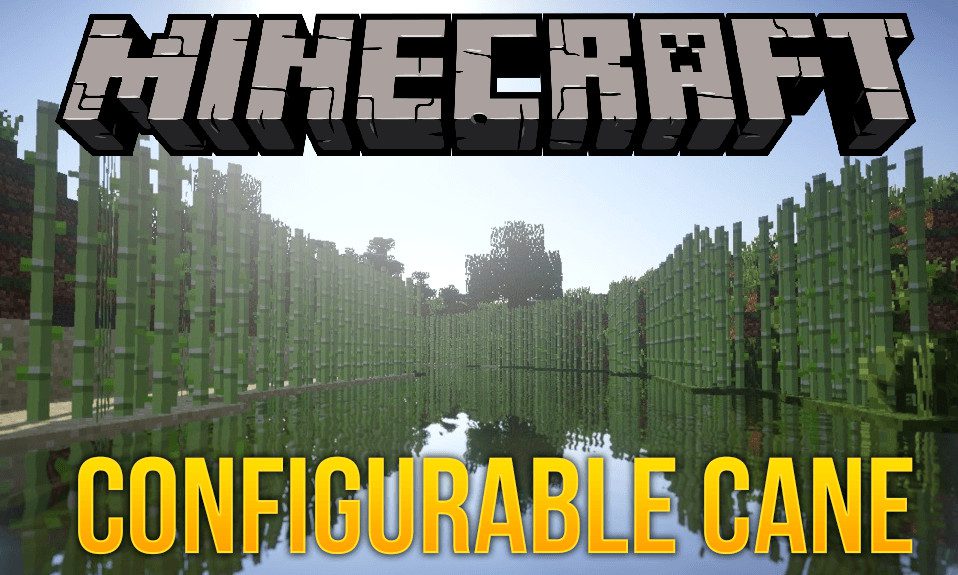 Configurable Cane  1.19.4