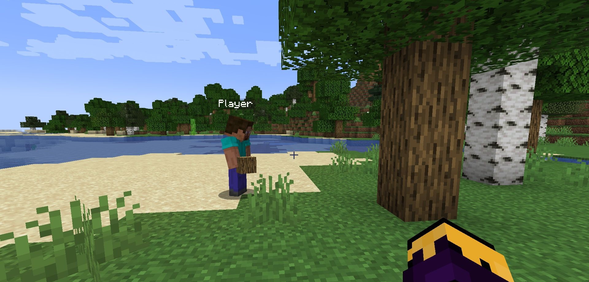 Пример использования NPC в ролевом сценарии на сервере Minecraft