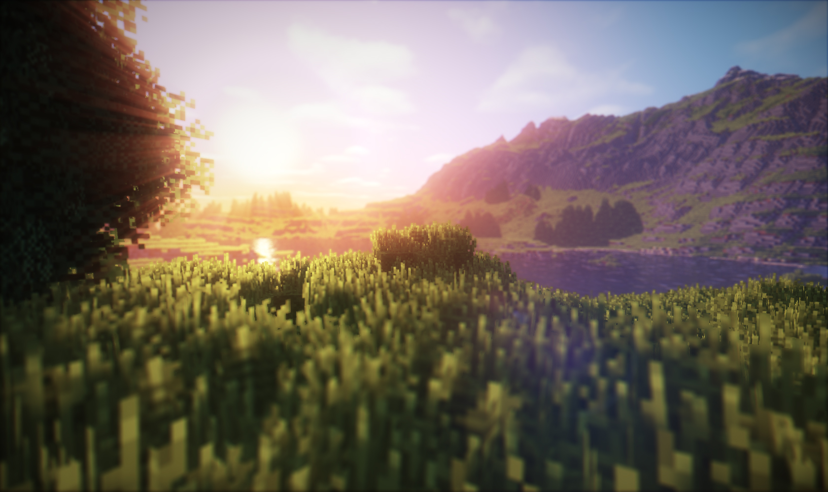 TME  1.16.2