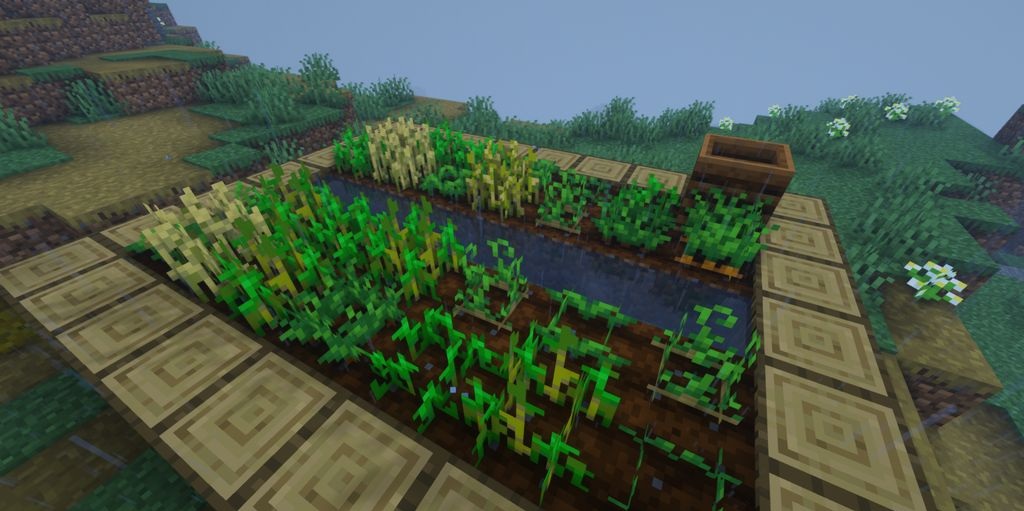 Скриншот Minecraft с модом Crops Love Rain, показывающий влияние дождя на рост растений