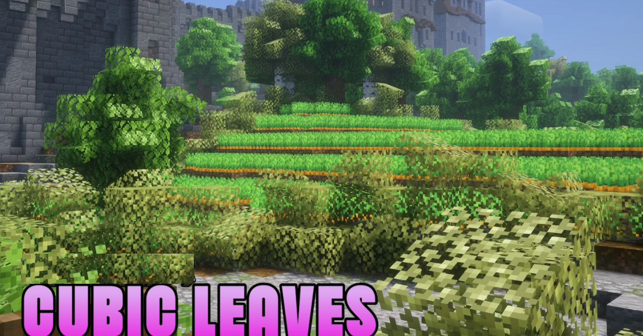 Cubic Leaves  1.21.5
