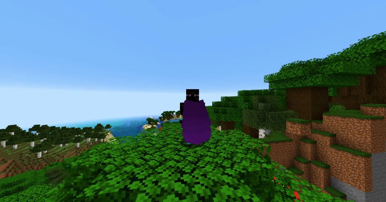 Пример покрашенных элитр с узором от баннера в Minecraft
