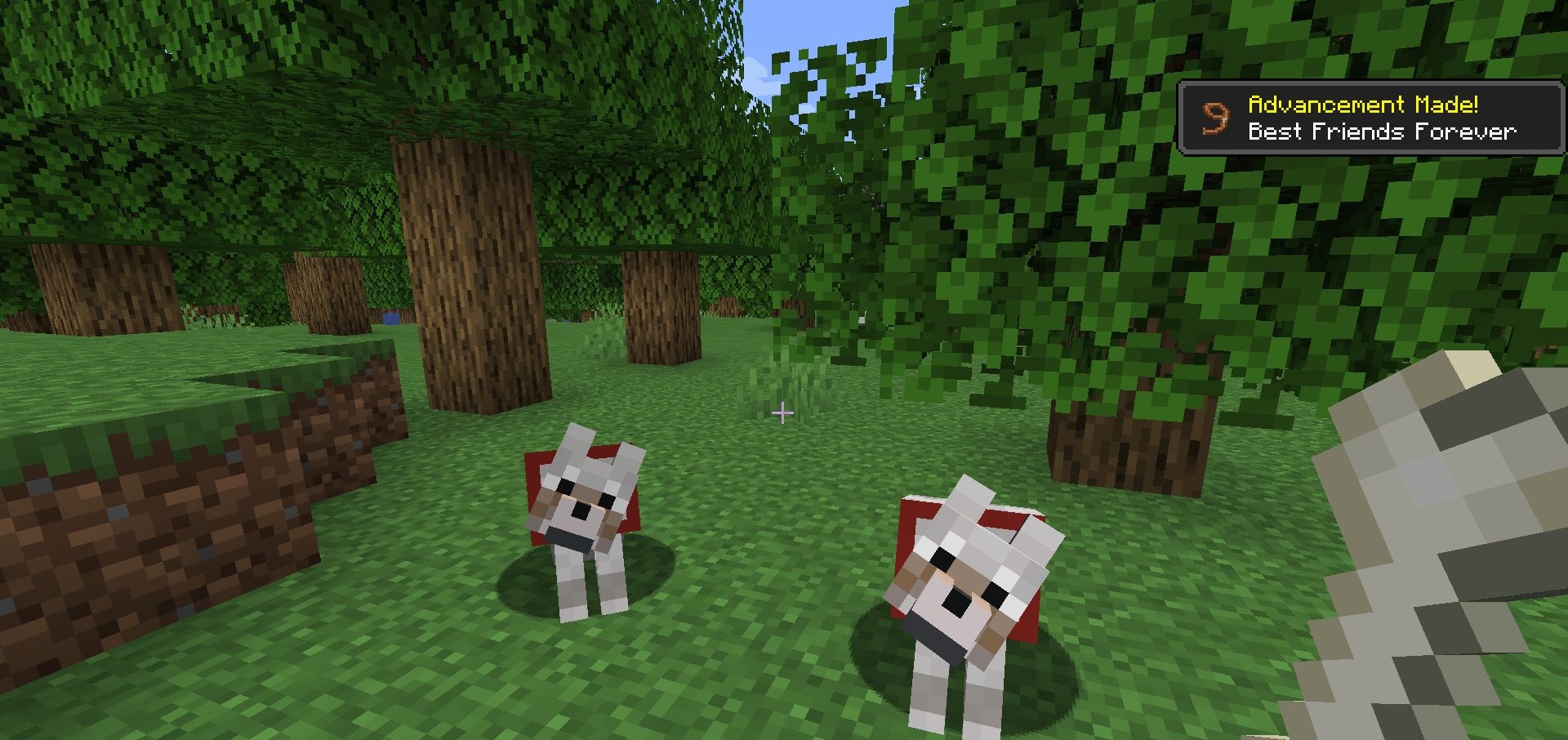 Разные породы собак из Doggo Mod в Minecraft