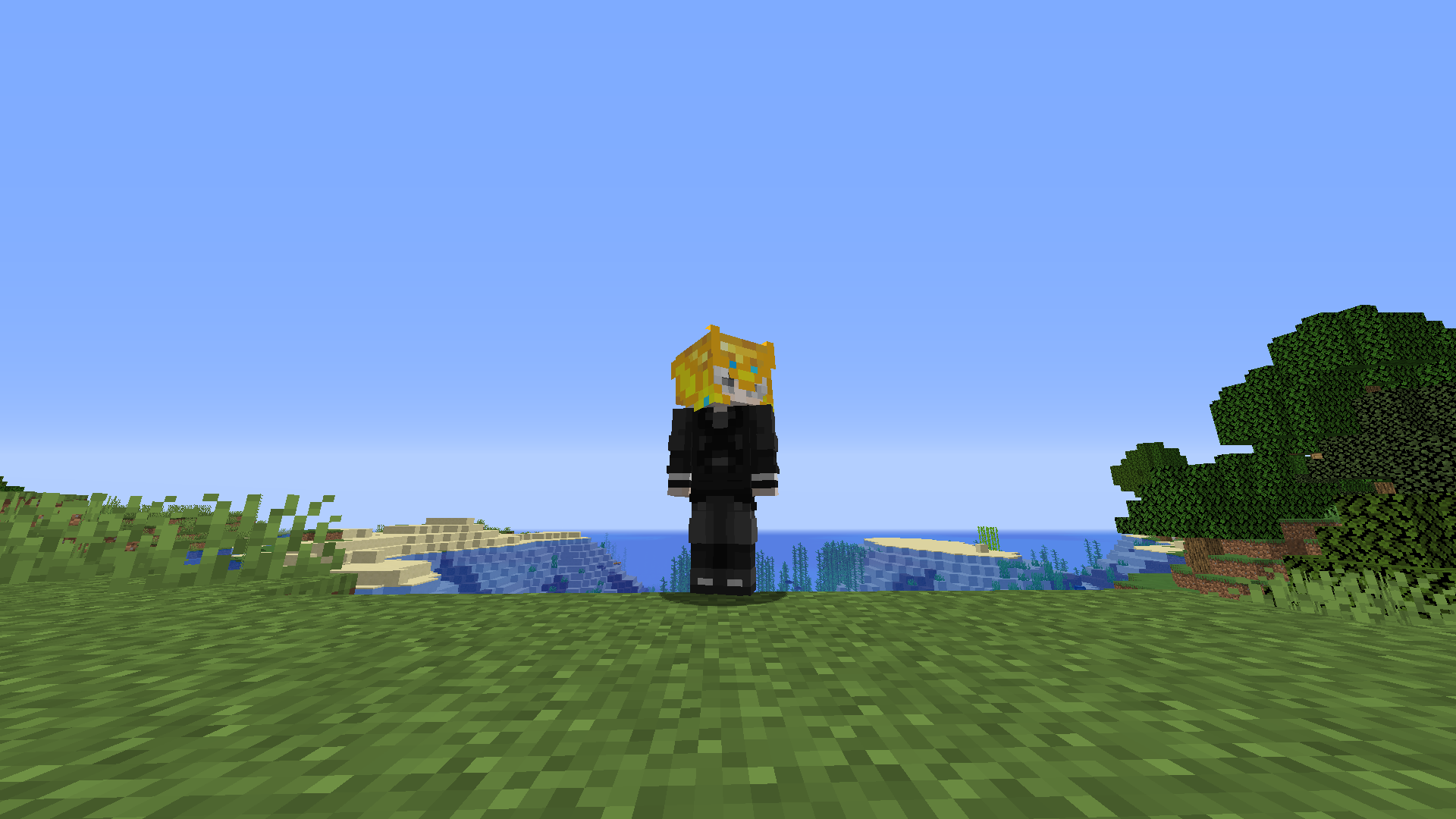 Crowns  1.20