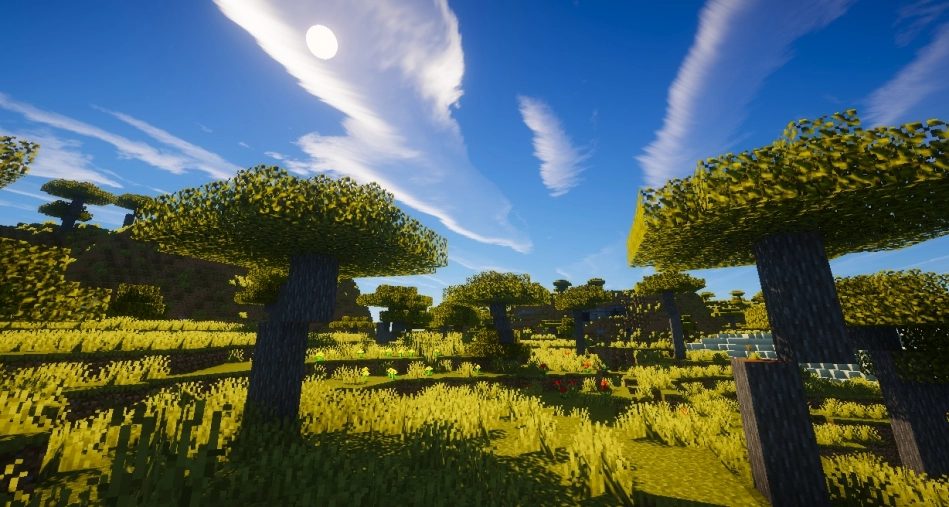 Сравнение графики в Minecraft: стандартная версия и с шейдерами BSL