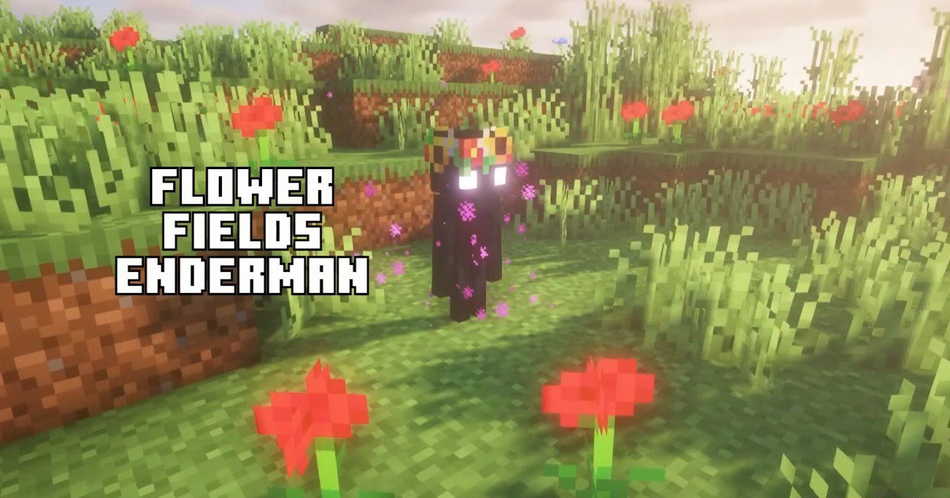 Интерфейс установки мода Enderman Overhaul в Minecraft