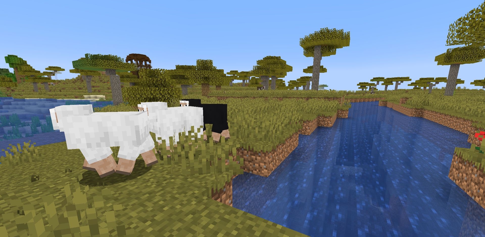 Сравнение графики Minecraft с шейдерами Energy Shaders и без них