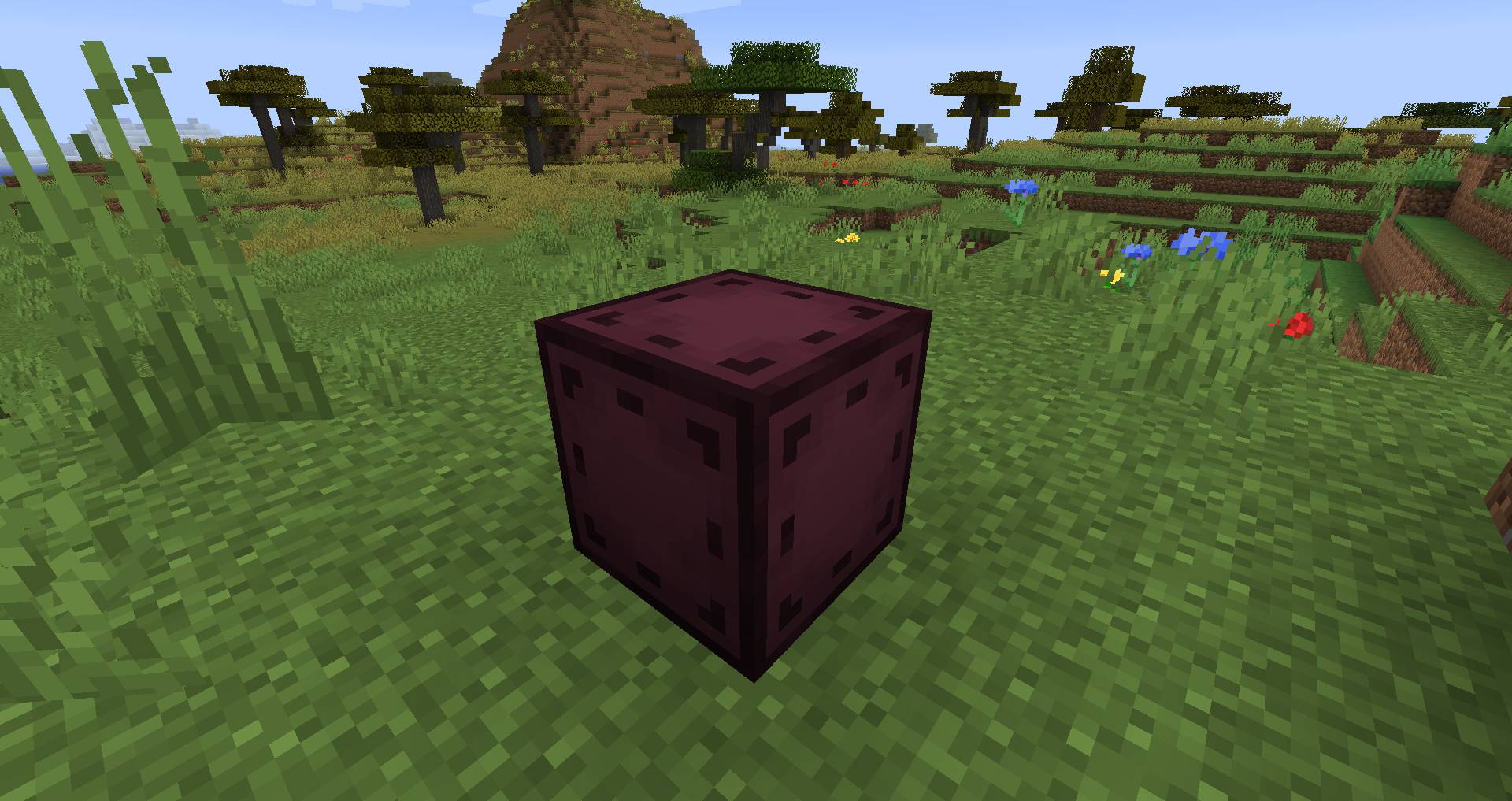 Новые верблюды и археологические раскопки в Minecraft 1.20