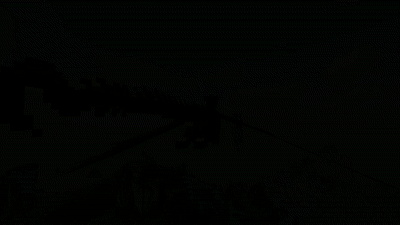 Dragon Survival  1.16.5