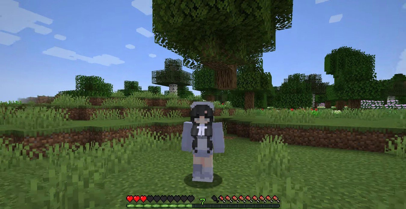 Пример женского скина в моде Female Gender для Minecraft