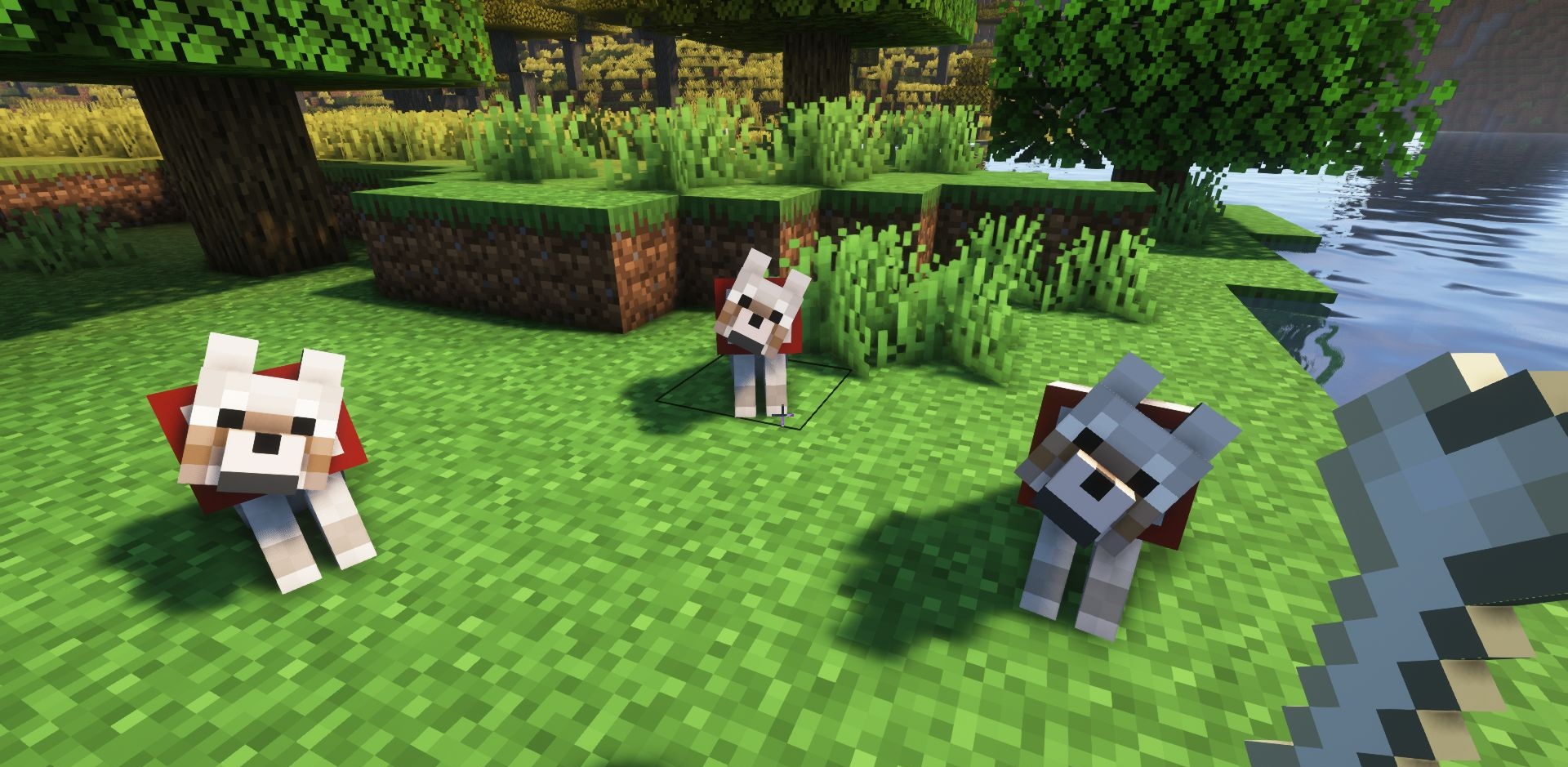 Группа животных телепортируется вместе с игроком в Minecraft
