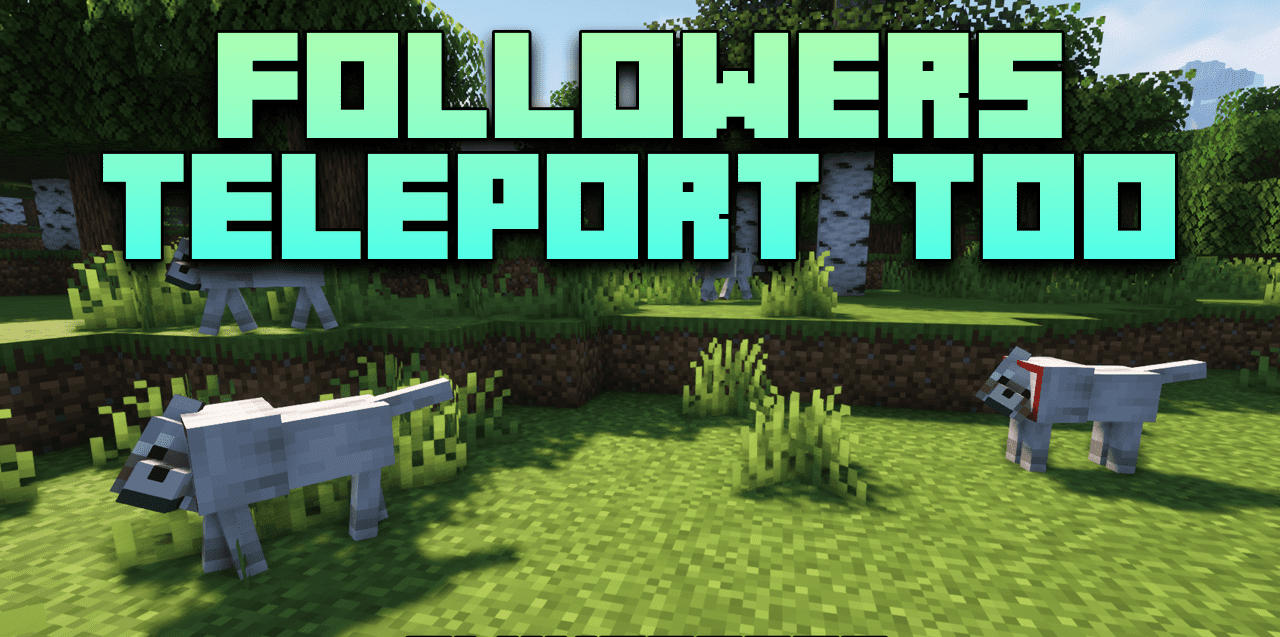 Followers Teleport Too для Minecraft 1.20.6