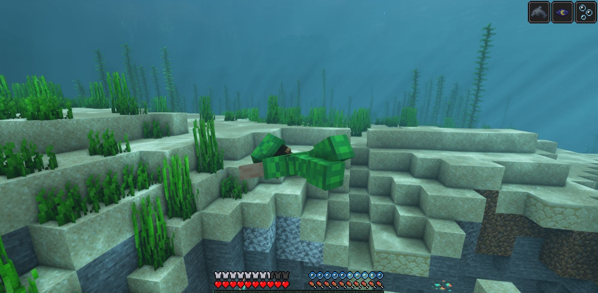 Игрок в черепашьей броне исследует подводный мир Minecraft
