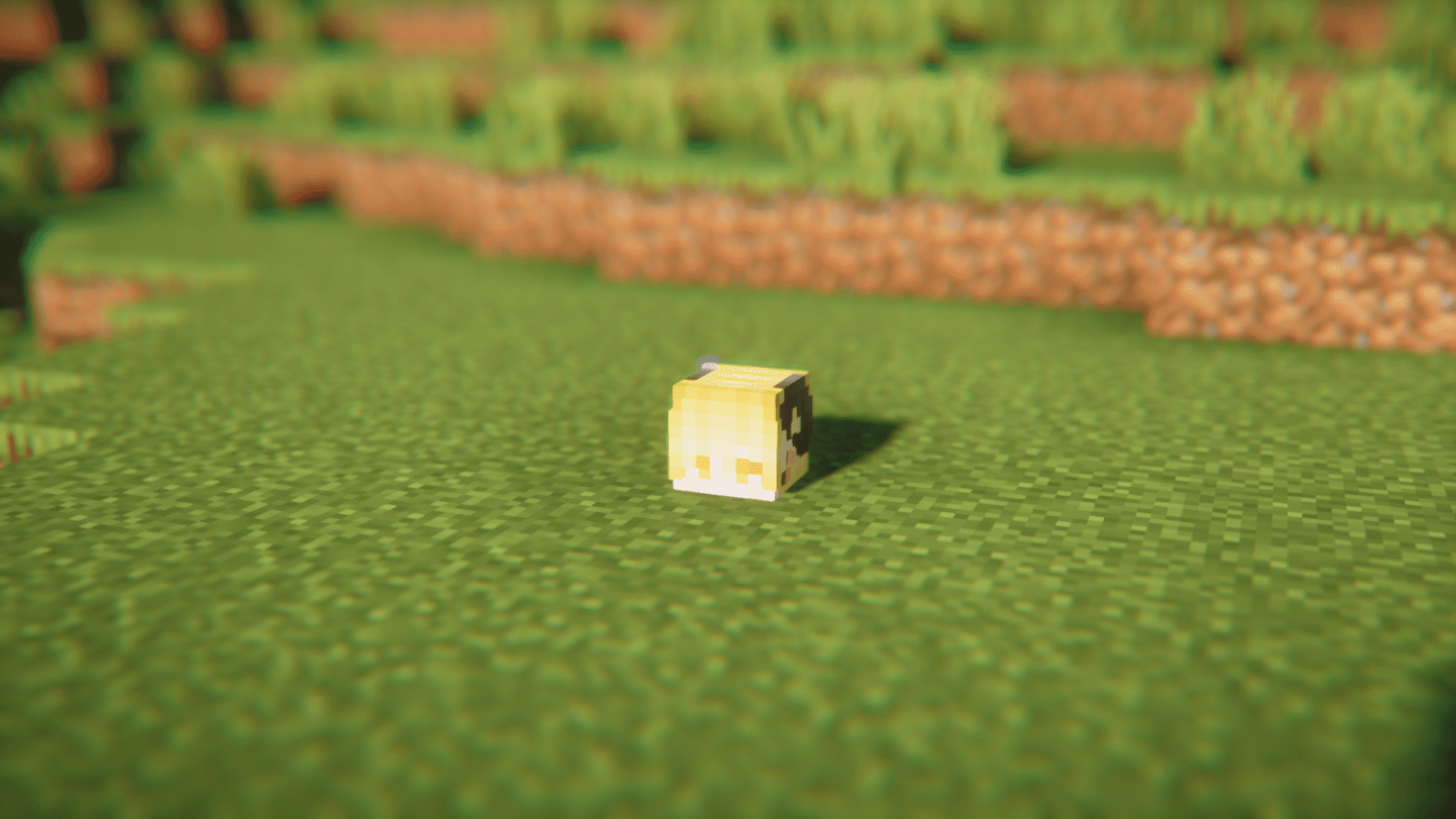 Скриншот интерфейса Minecraft с переименованной головой до применения мода