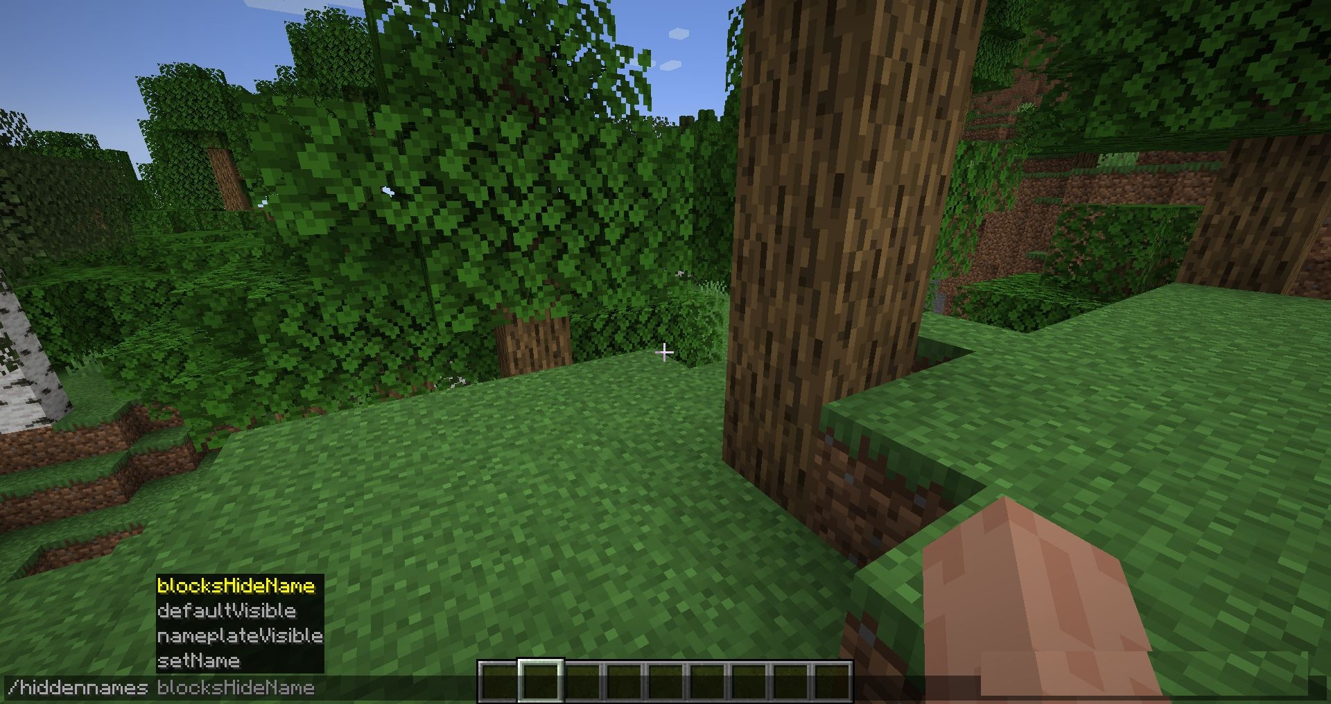 Сравнение ванильного Minecraft и версии с Hidden Names Mod