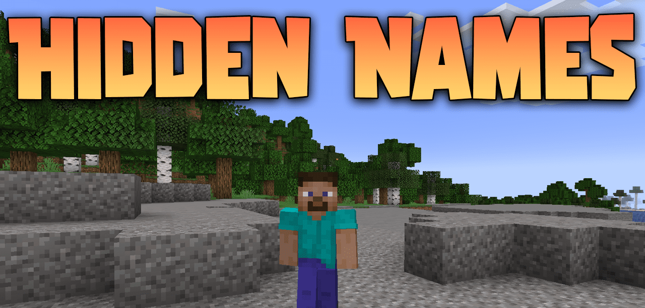 Hidden Names для Minecraft 1.21.4