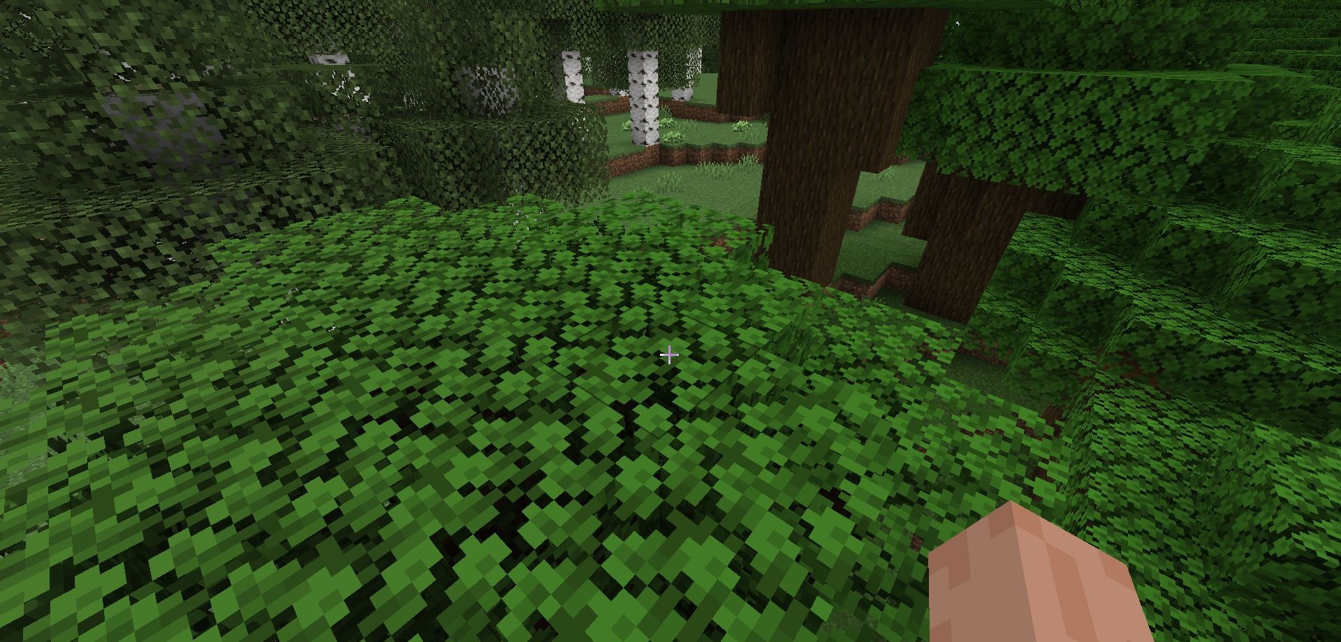 Новые мобы и блоки из обновления Minecraft 1.20