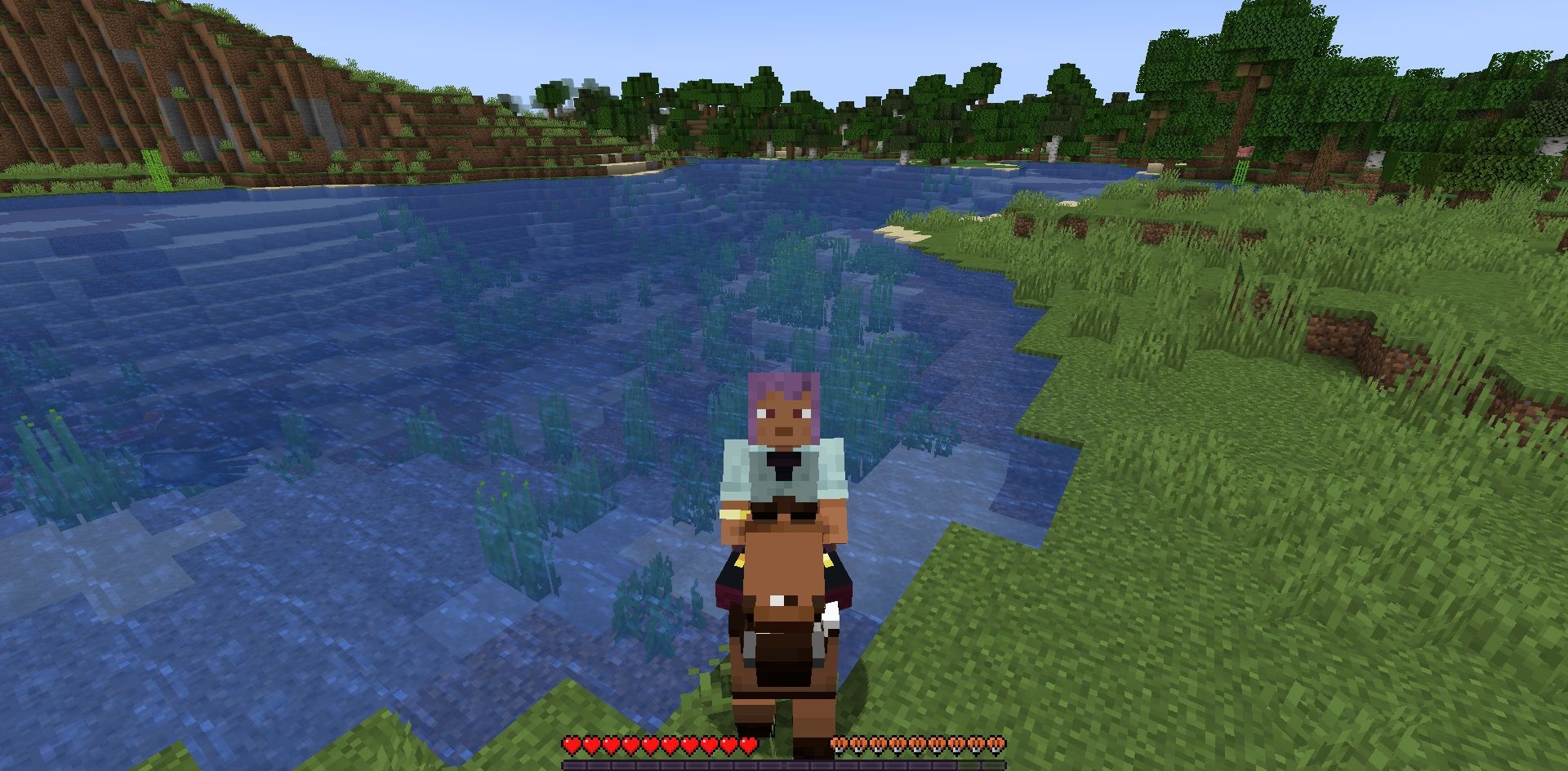 Гайд по установке Horse Buff Mod в Minecraft с помощью Fabric или Forge