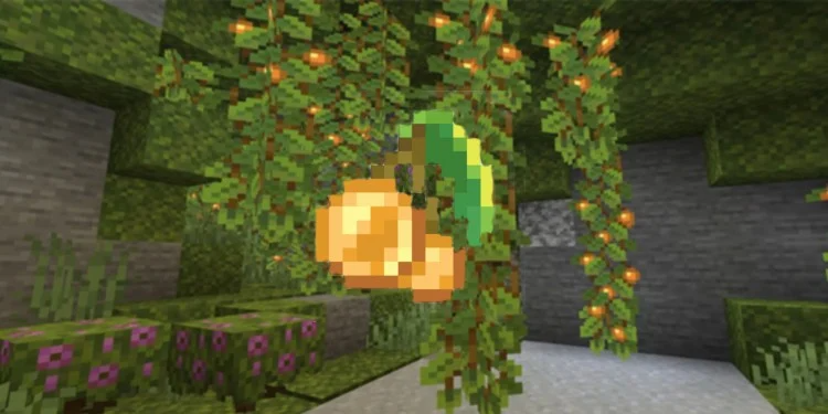 Glow Berry Lantern  1.19.2