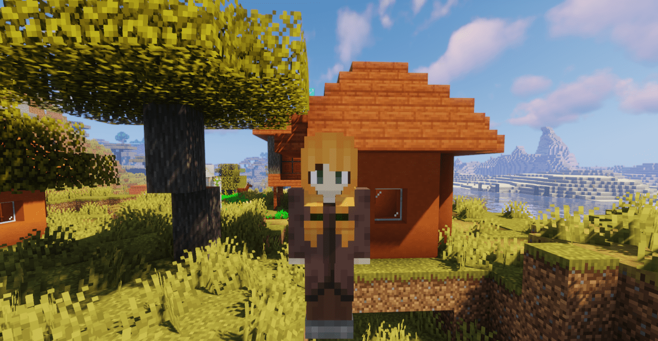 Детализированные модели жителей деревни в Minecraft после установки мода
