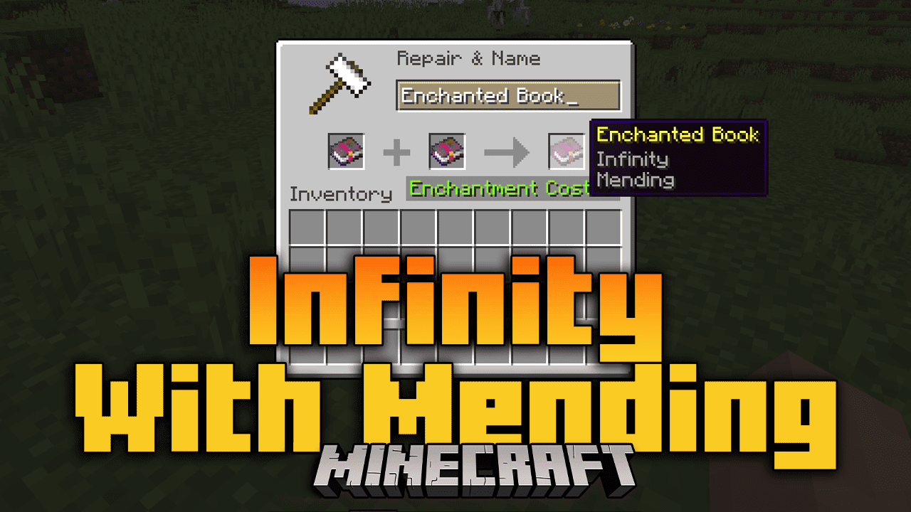 Infinity With Mending  1.20.4