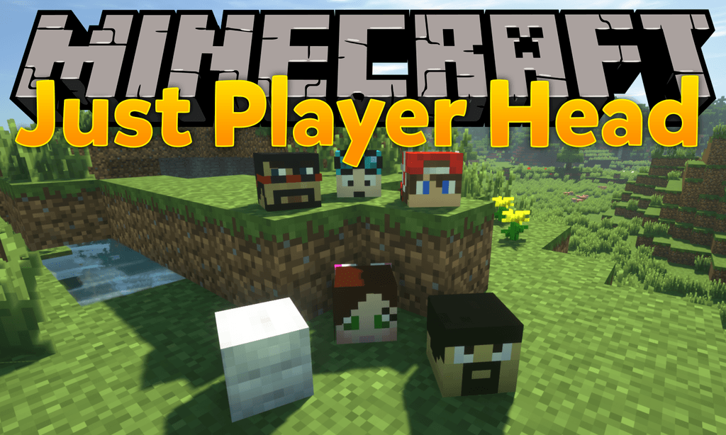 Just Player Head для Minecraft 1.21