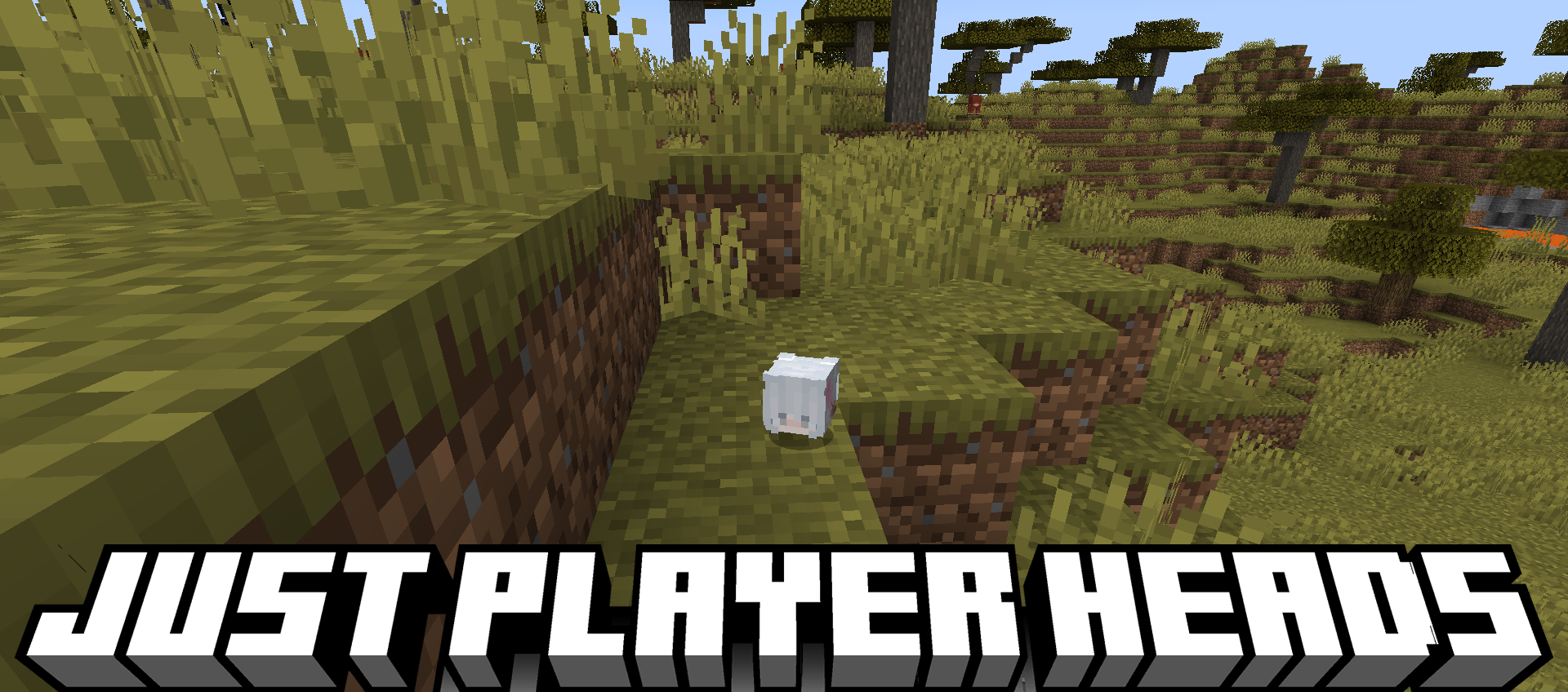 Just Player Heads для Minecraft 1.21.5