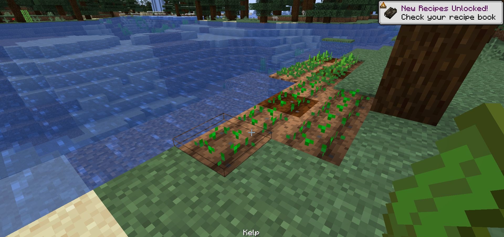 Сравнение роста растений с костной мукой и водорослями в Minecraft