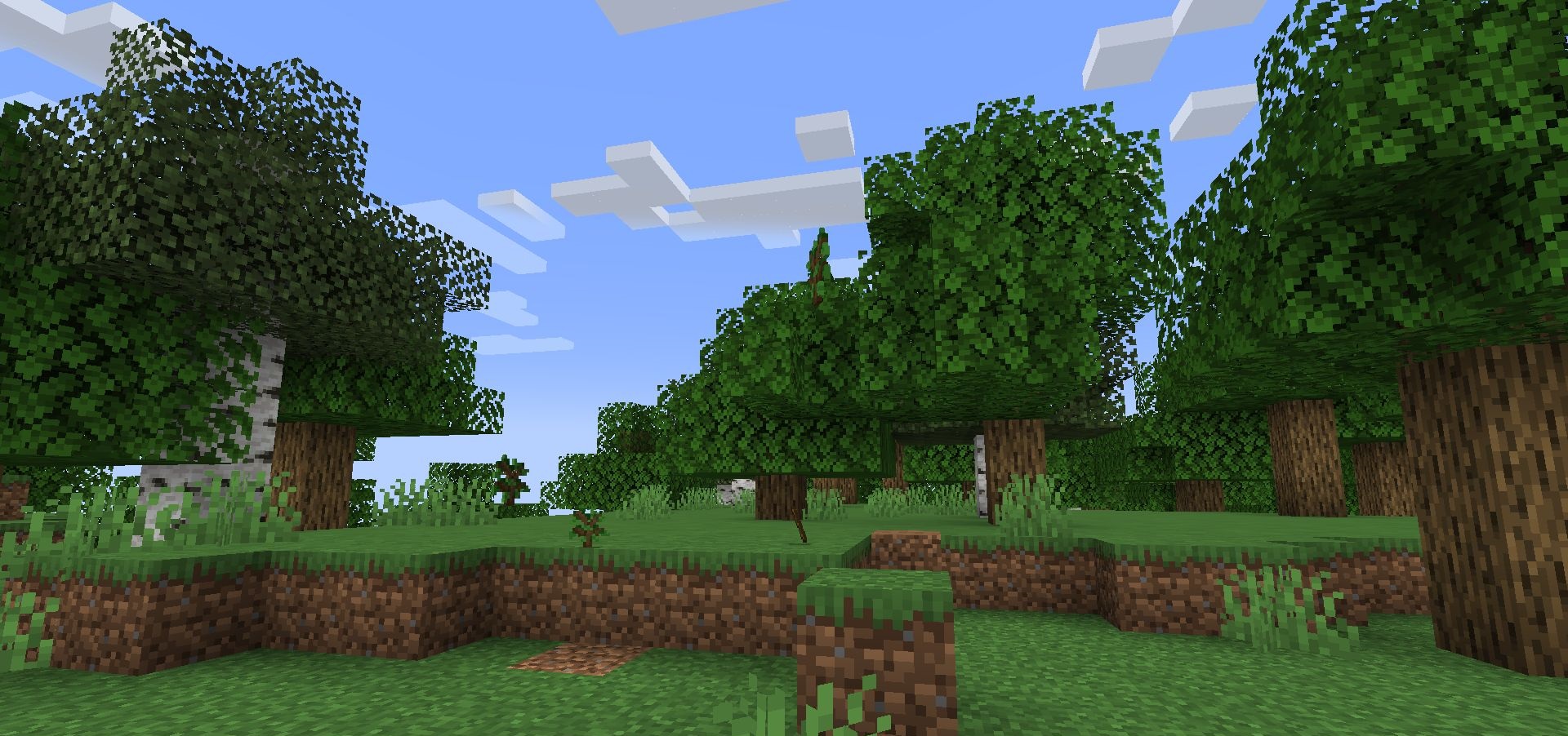 Пример работы мода Leaves Us In Peace в биоме леса Minecraft