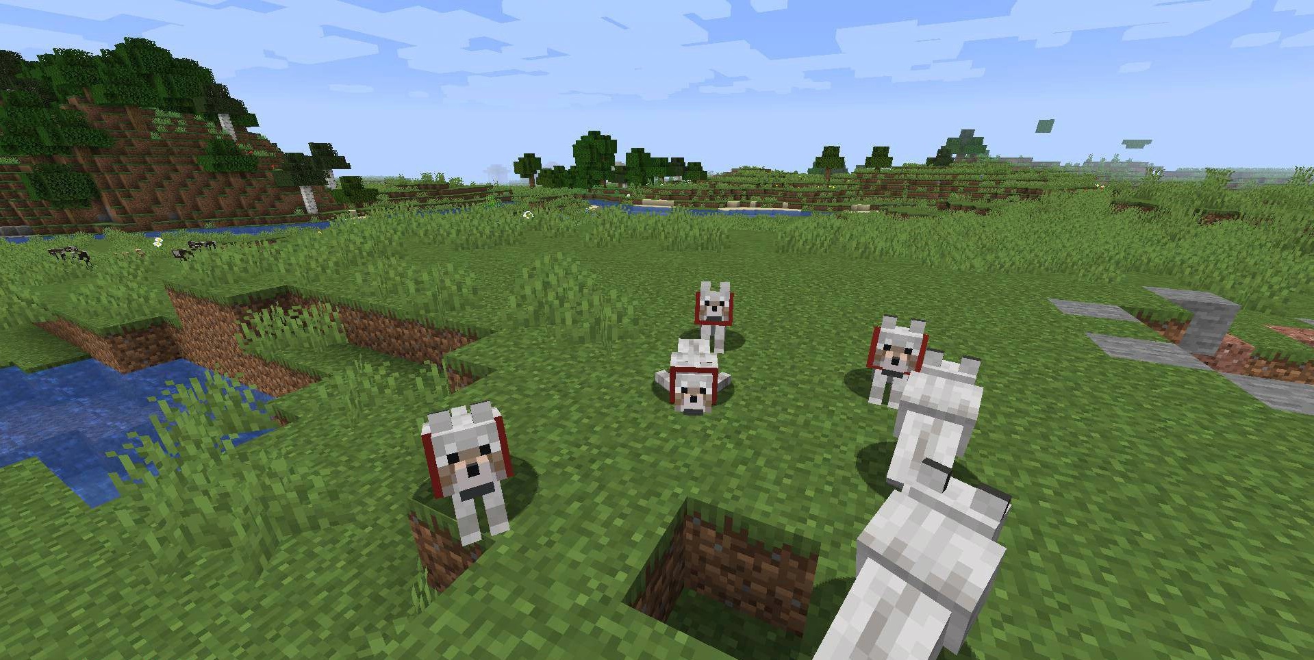 Игрок наблюдает за спящей собакой в Minecraft с модом Let Sleeping Dogs Lie