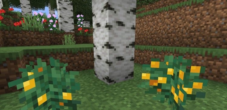 Игровой процесс с золотой едой в биоме пустыни Minecraft