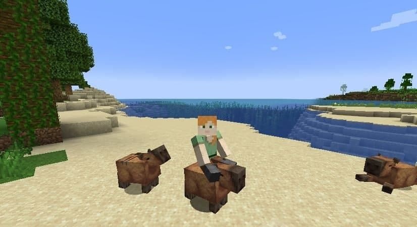 Группа капибар в биоме джунглей Minecraft