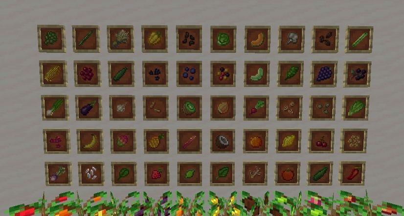 Ферма с новыми культурами из мода Croptopia в Minecraft