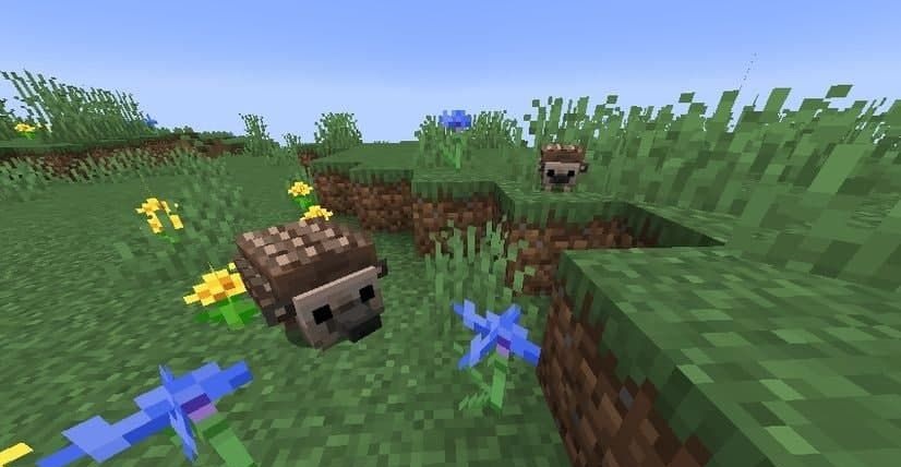 Прирученный ежик в Minecraft атакует зомби ночью