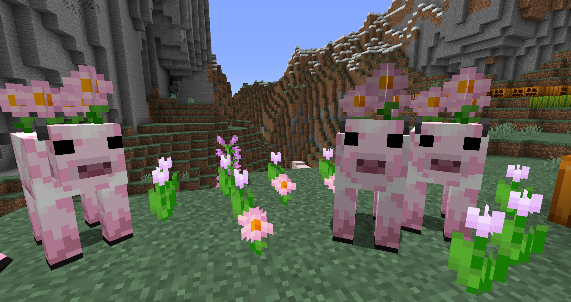 Игрок собирает шерсть с овец на ферме в Minecraft