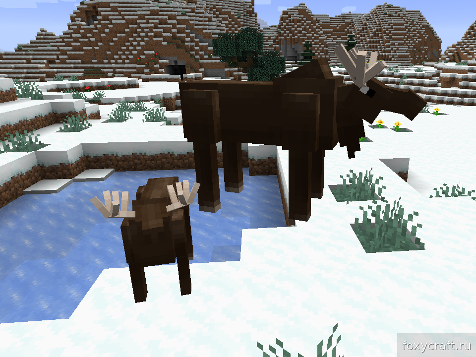 Лось в Minecraft в заснеженном биоме тайги