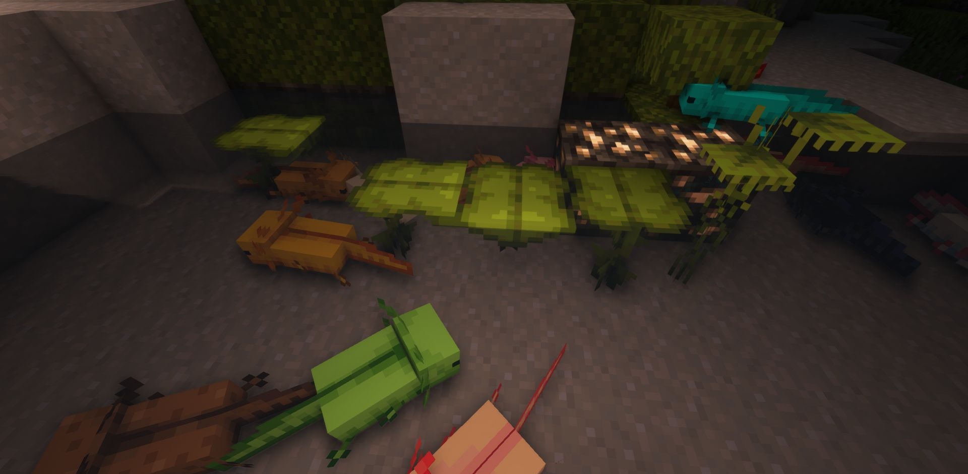 Редкие виды аксолотлей в Minecraft с модом More Axolotl Variants