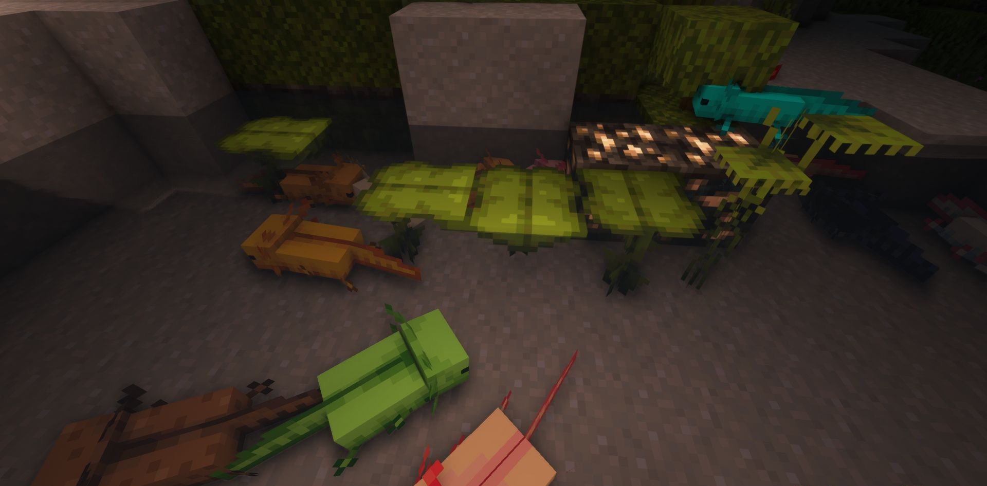 Несколько видов аксолотлей в одном водоёме Minecraft