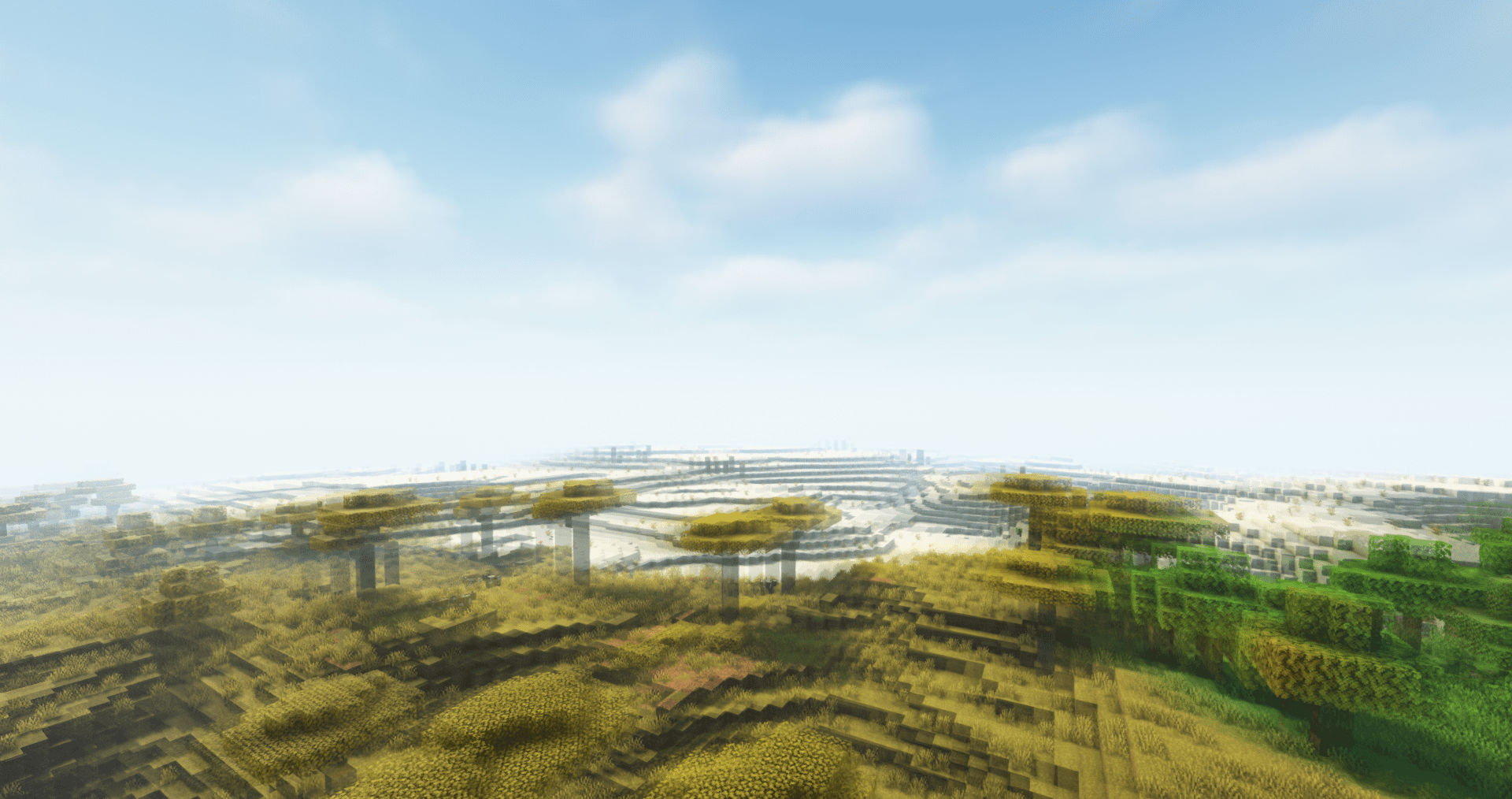 Настройки Motion Blur в Minecraft: меню конфигурации эффекта