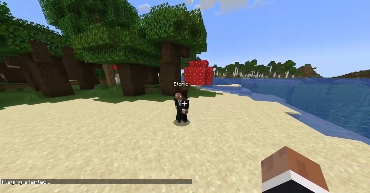 Геймплей с Motion Capture Mod - игрок записывает свои действия