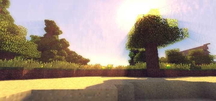 Реалистичный лесной биом в Minecraft с шейдерами, красивым освещением и детализированной листвой