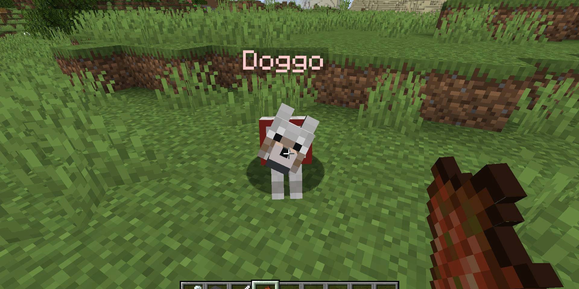 Скриншот Minecraft с модом Name Pain: разноцветные имена мобов над головами