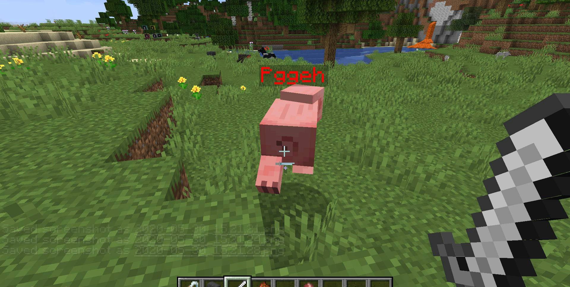 Интерфейс настроек Name Pain Mod в Minecraft с выбором цвета и прозрачности