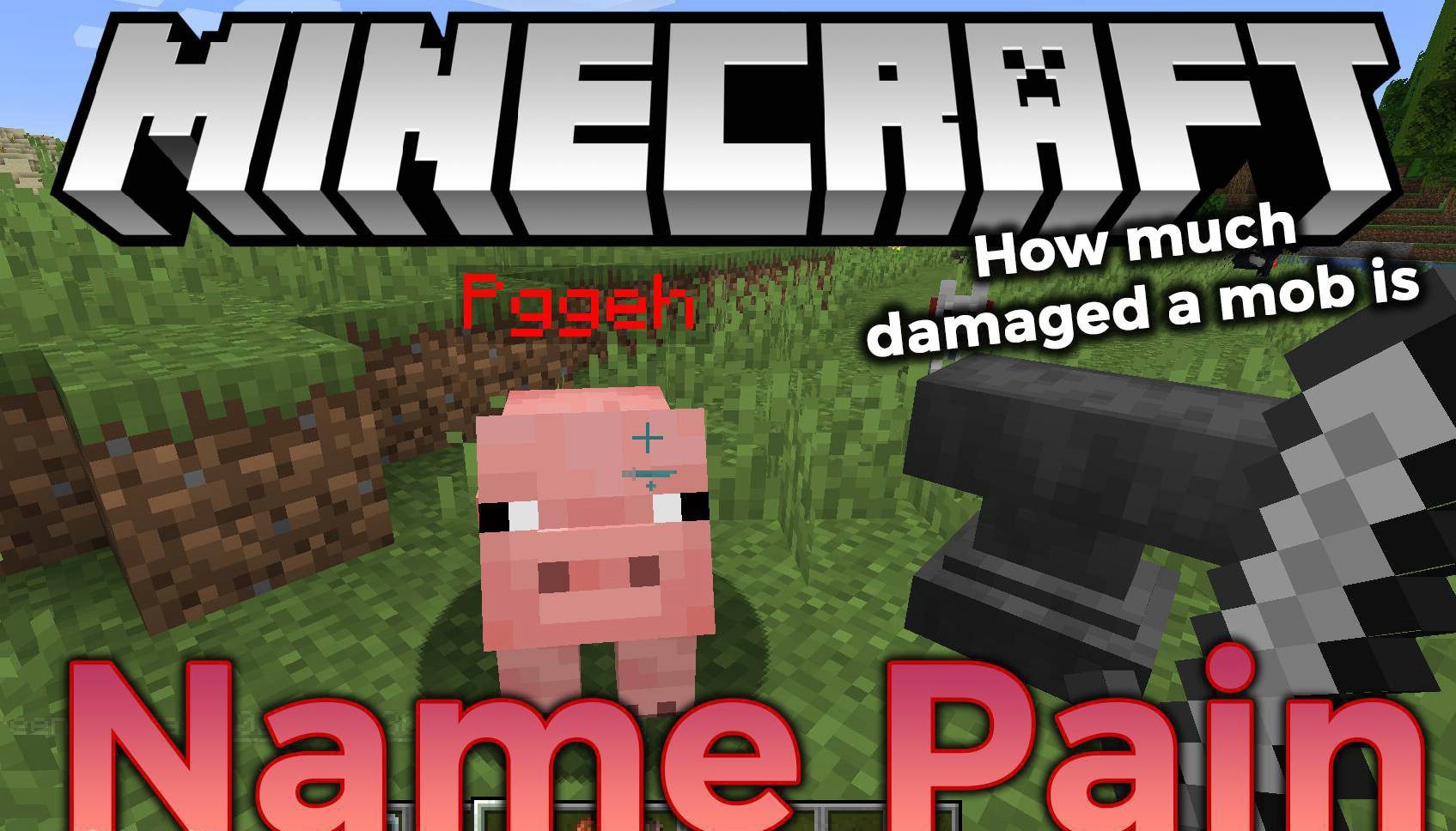 Name Pain для Minecraft 1.21.5