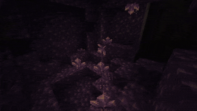 Visuality  1.19.2