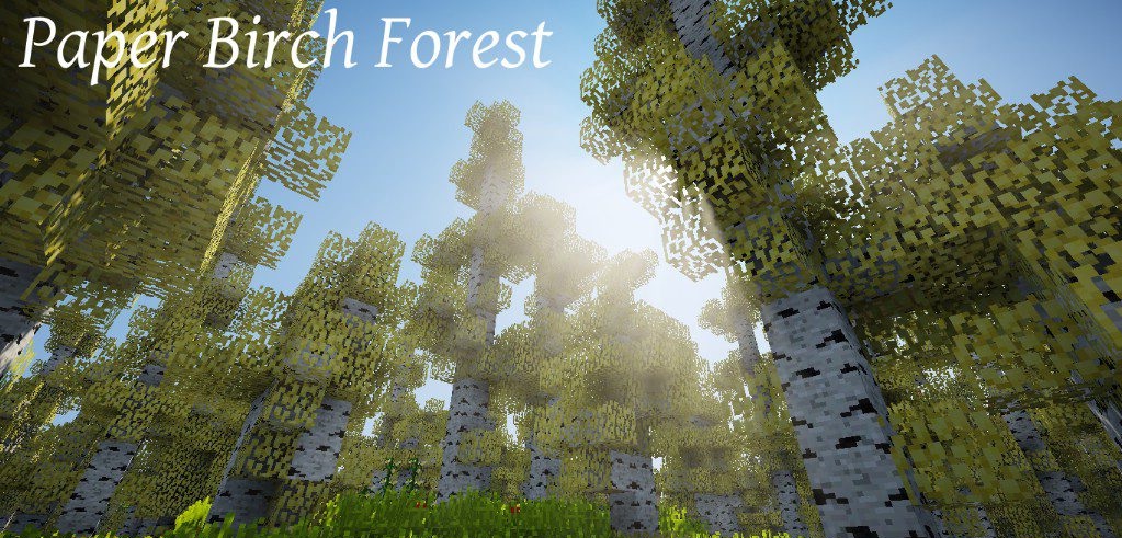 Экзотические растения и деревья в моде Oh The Biomes You’ll Go
