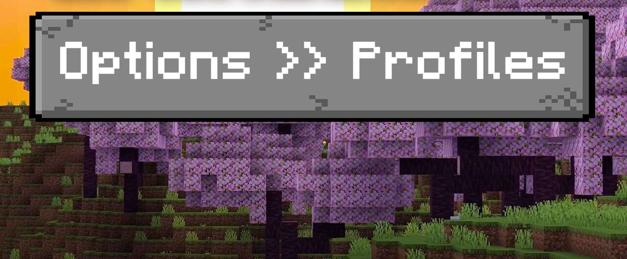 Options Profiles  1.20.2