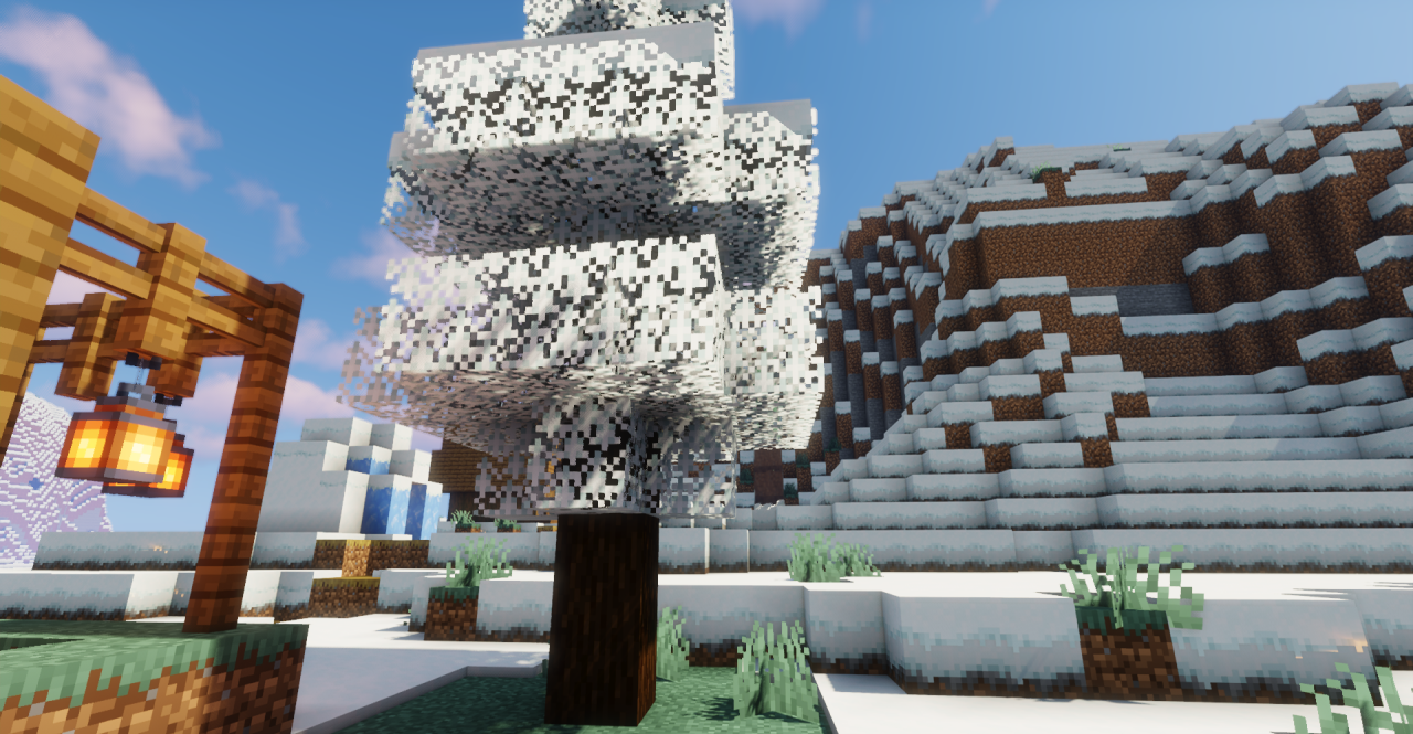 Para’s Snow Biome  1.20.5