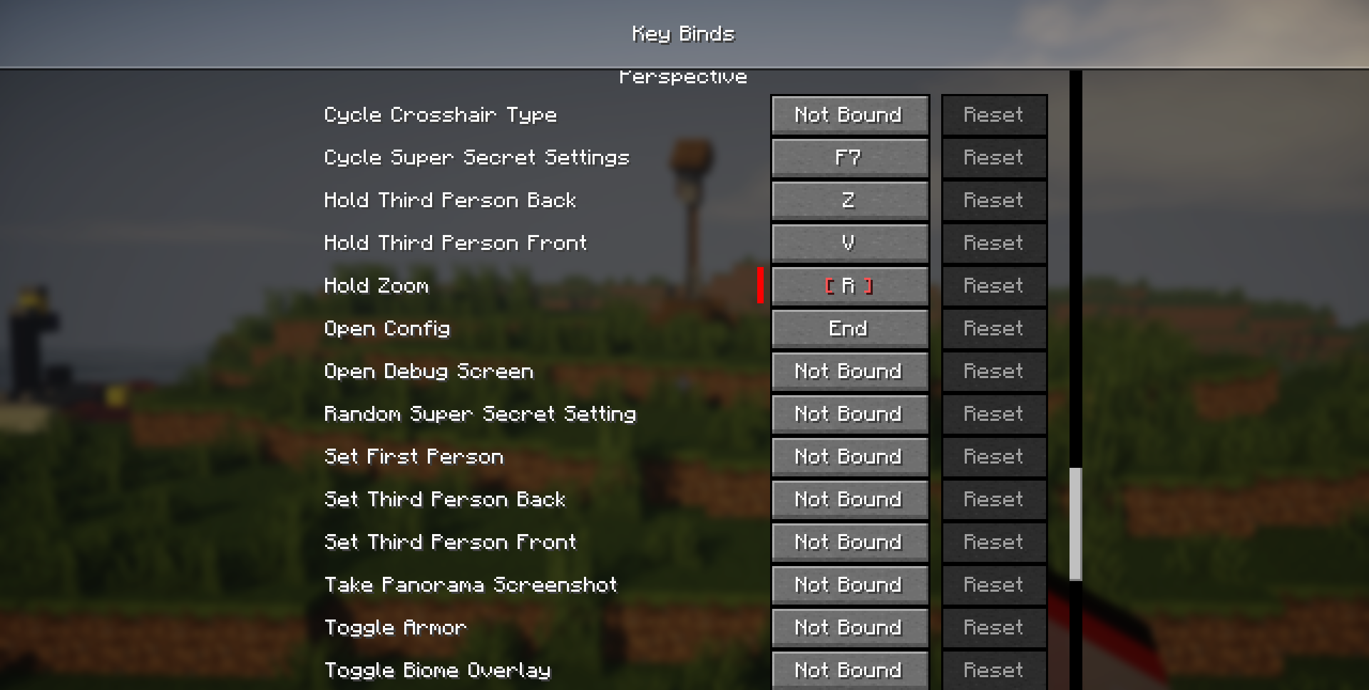 Пример работы Perspective Mod - зум камеры в Minecraft