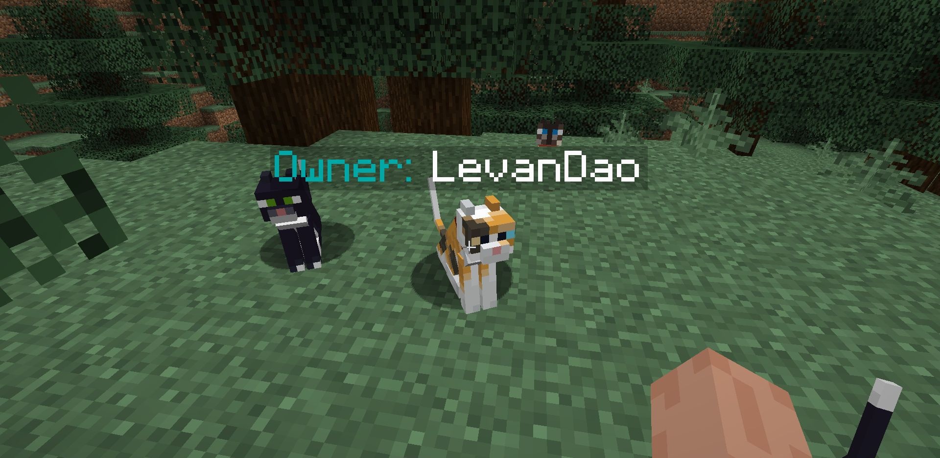 Группа игроков в Minecraft с их питомцами, над головами животных отображаются имена владельцев